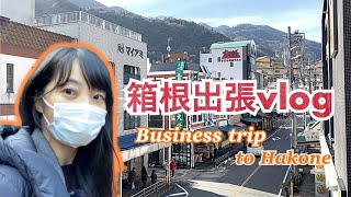 Business trip to Hakone in Kanagawa prefecture