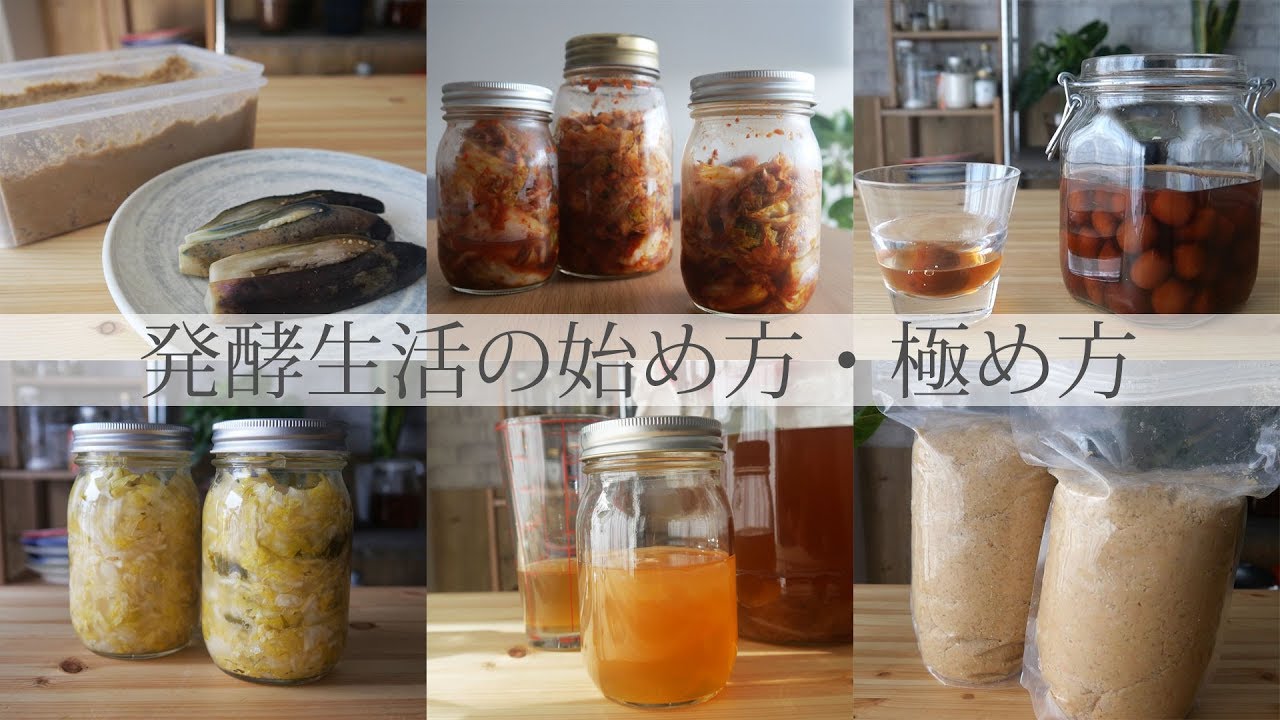 How to start and master the fermentation lifestyle