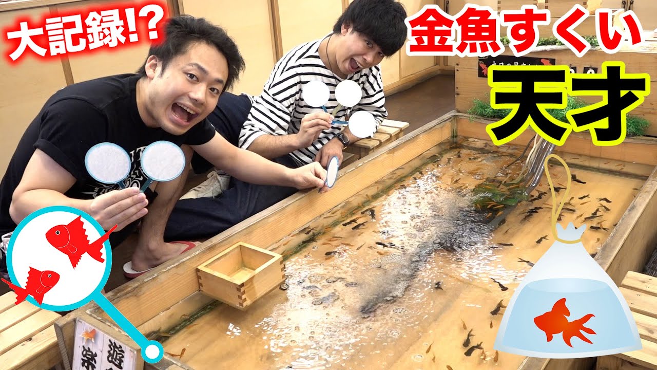 A beginner at goldfish scooping tries to see how good he can become in just one day, and ends up rivalling a pro!