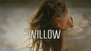  Willow 