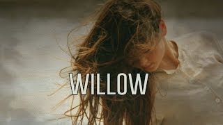  Willow 