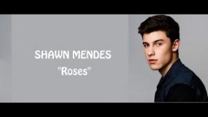Roses(Shawn Mendes)