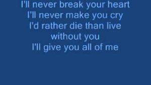 I'll Never Break Your Heart